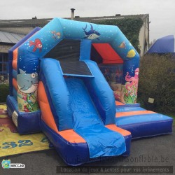 a vendre le combo némo