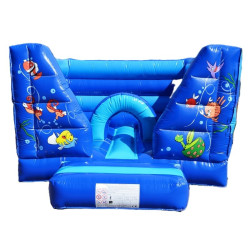 vente château gonflable