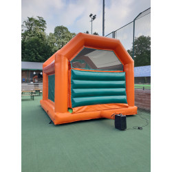 l'arrière du Classique Tigre