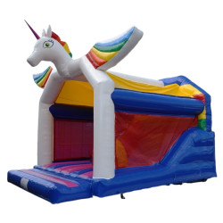château gonflable avec toboggan et couvert