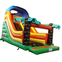 Toboggan Fun Slide - château gonflable