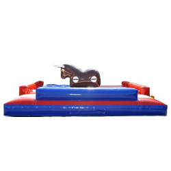 structure gonflable - Matelas Rodéo