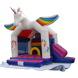 le Classique Licorne avec toboggan - vente