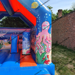 décor de poisson - némo