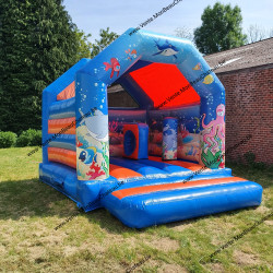 vente-chateaux-gonflabe-occasion